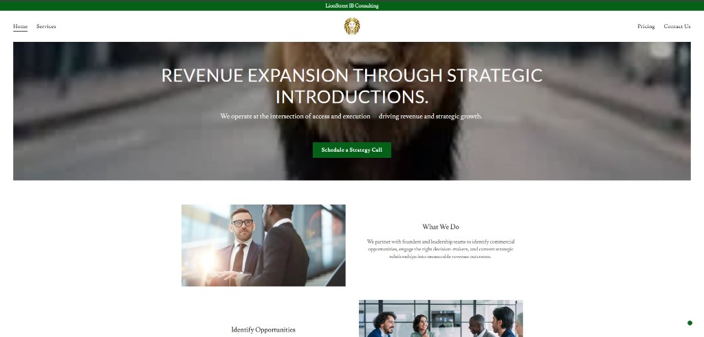 LionStreet IB Consulting legacy homepage on GoDaddy Website Builder — centred hero, flat green CTA, and generic section layout